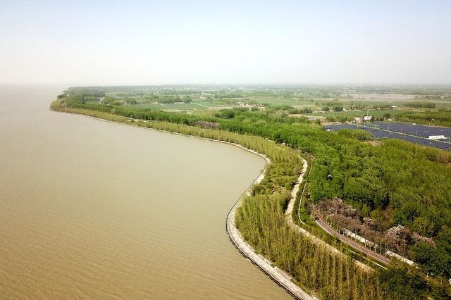 Hongze Lake